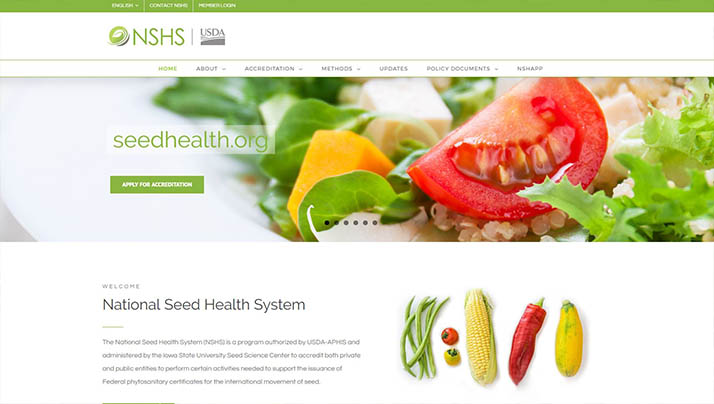 NSHS Launches New Website