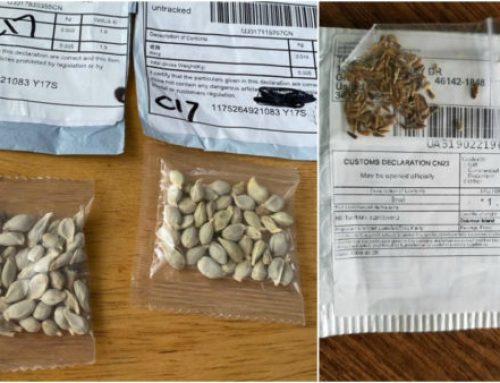 USDA Investigates Packages of Unsolicited Seeds from China