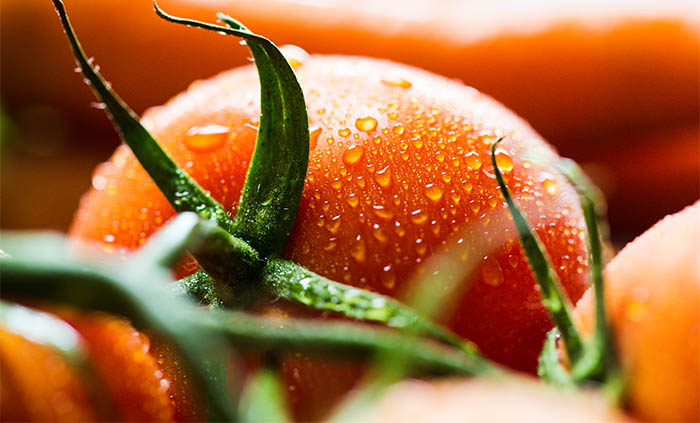 NSHS Announces New ToBRFV Testing Method for Tomato and Pepper